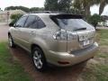 Savannah Beige Metallic - RX 330 Photo No. 3