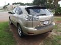 Savannah Beige Metallic - RX 330 Photo No. 4