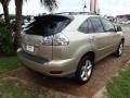 Savannah Beige Metallic - RX 330 Photo No. 6