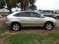 Savannah Beige Metallic - RX 330 Photo No. 7