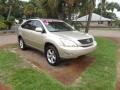 Savannah Beige Metallic - RX 330 Photo No. 8