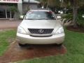 Savannah Beige Metallic - RX 330 Photo No. 9