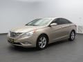 2011 Camel Pearl Hyundai Sonata Limited  photo #7