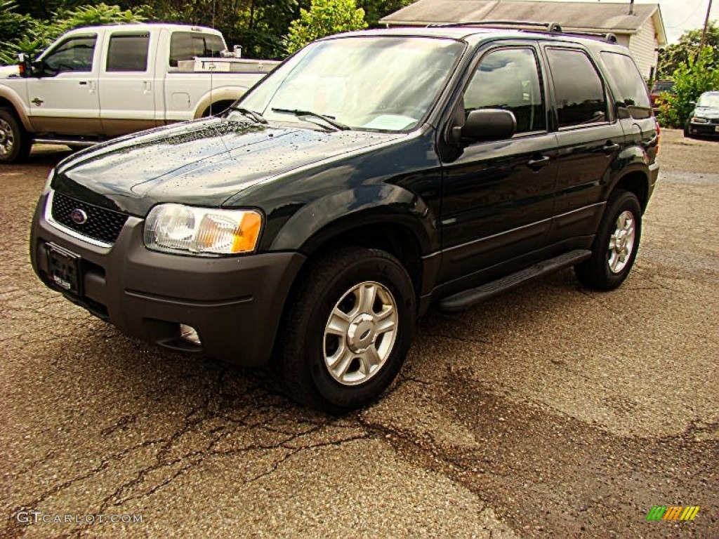 2004 Escape XLT V6 4WD - Aspen Green Metallic / Medium/Dark Pebble photo #1