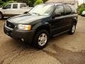 Aspen Green Metallic 2004 Ford Escape XLT V6 4WD