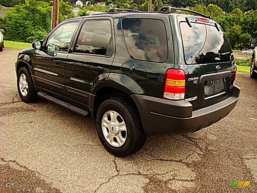 2004 Escape XLT V6 4WD - Aspen Green Metallic / Medium/Dark Pebble photo #6