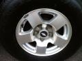 2002 Chevrolet Express 1500 LT Passenger Van Wheel and Tire Photo