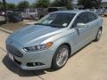 Ice Storm 2014 Ford Fusion Hybrid SE Exterior