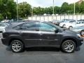 Smokey Granite - RX 350 AWD Photo No. 12