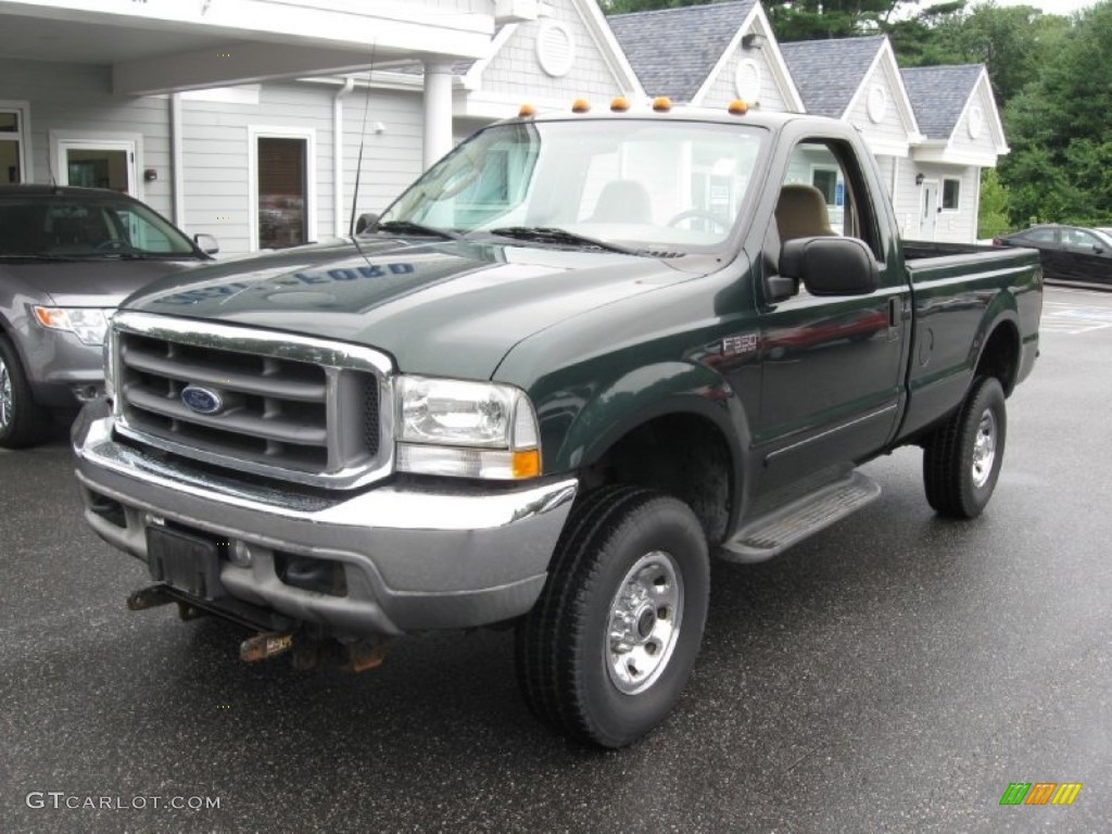 2003 F350 Super Duty XL Regular Cab 4x4 - Dark Highland Green Metallic / Medium Parchment photo #3