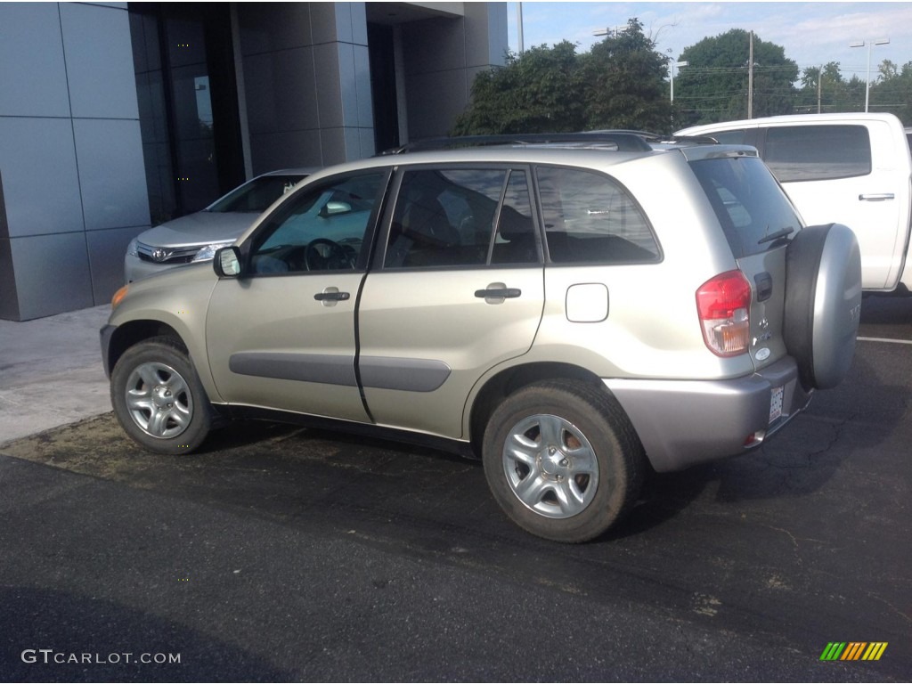 2003 RAV4 4WD - Vintage Gold / Taupe photo #4