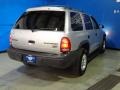 Bright Silver Metallic - Durango SXT Photo No. 15