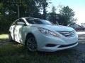 Shimmering White - Sonata GLS Photo No. 2