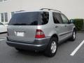 Brilliant Silver Metallic - ML 320 4Matic Photo No. 6