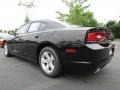 Pitch Black - Charger SE Photo No. 2