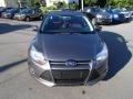 2014 Sterling Gray Ford Focus SE Hatchback  photo #2