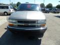 Light Pewter Metallic - S10 LS Crew Cab 4x4 Photo No. 3