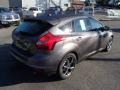 2014 Sterling Gray Ford Focus SE Hatchback  photo #5