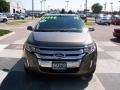 2013 Mineral Gray Metallic Ford Edge Limited EcoBoost  photo #2
