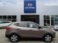 2011 Chai Bronze Hyundai Tucson GL  photo #1