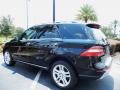 Black - ML 350 4Matic Photo No. 5