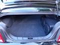 Dark Charcoal Trunk Photo for 2009 Ford Mustang #84239138