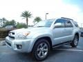 Titanium Metallic 2008 Toyota 4Runner SR5 Exterior