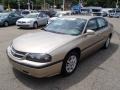 Sandstone Metallic - Impala  Photo No. 4