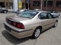 Sandstone Metallic - Impala  Photo No. 8