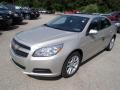 Champagne Silver Metallic - Malibu LT Photo No. 4