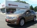 Golden Umber Mica 2010 Toyota Venza AWD