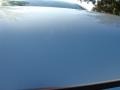 Mercury Metallic - LS 460 L AWD Photo No. 40