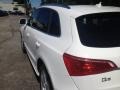 Ibis White - Q5 3.2 FSI quattro Photo No. 6