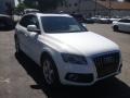 Ibis White - Q5 3.2 FSI quattro Photo No. 14