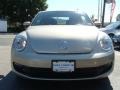 Moonrock Silver Metallic - Beetle 2.5L Photo No. 2