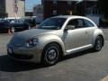 Moonrock Silver Metallic - Beetle 2.5L Photo No. 3