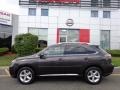 2010 Smokey Granite Mica Lexus RX 350 AWD  photo #2