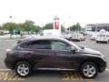 2010 Smokey Granite Mica Lexus RX 350 AWD  photo #5