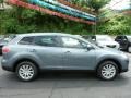 2010 Dolphin Gray Mica Mazda CX-9 Sport AWD  photo #13