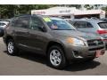 Pyrite Metallic - RAV4 I4 4WD Photo No. 16