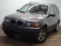 Steel Grey Metallic 2003 BMW X5 3.0i
