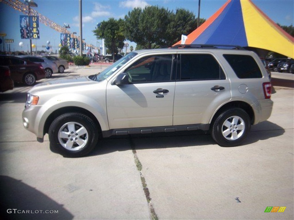 Gold Leaf Metallic 2012 Ford Escape XLT V6 Exterior Photo #84281619