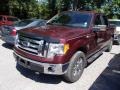 2009 Royal Red Metallic Ford F150 XLT SuperCrew 4x4  photo #3