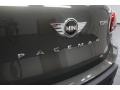 Royal Gray Metallic - Cooper Paceman Photo No. 27