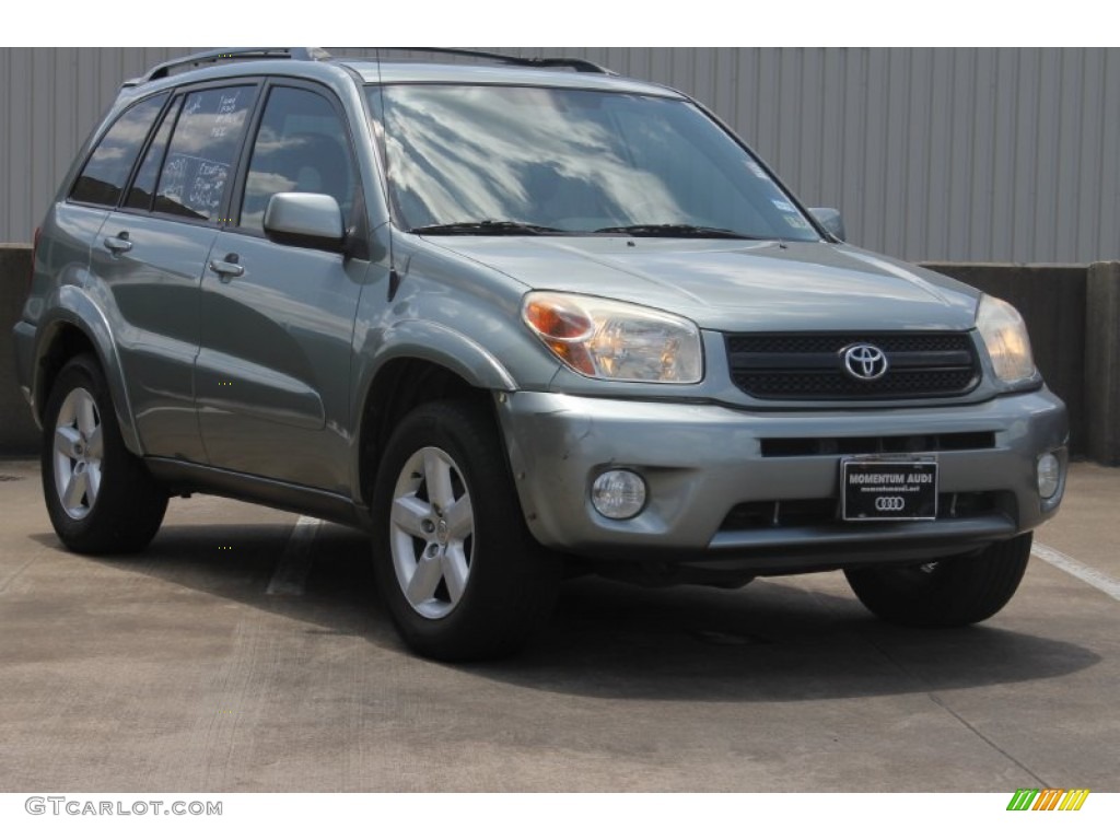 2004 Everglade Green Metallic Toyota RAV4 4WD 84257238 GTCarLot Car Color Galleries