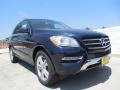 2014 Lunar Blue Metallic Mercedes-Benz ML 350  photo #11