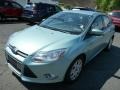 Frosted Glass Metallic - Focus SE 5-Door Photo No. 5