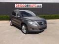 Alpine Grey Metallic 2010 Volkswagen Tiguan SE