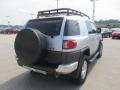 Titanium Metallic - FJ Cruiser 4WD Photo No. 4