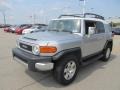 Titanium Metallic - FJ Cruiser 4WD Photo No. 8